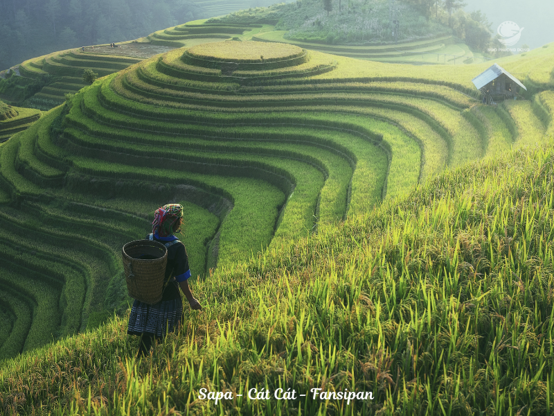 Hà Nội - Ninh Bình - Hạ Long - Yên Tử - Sapa - Hà Nội