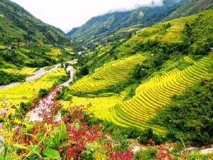 Khám phá hành trình tuyệt vời từ Hà Nội đến Sapa