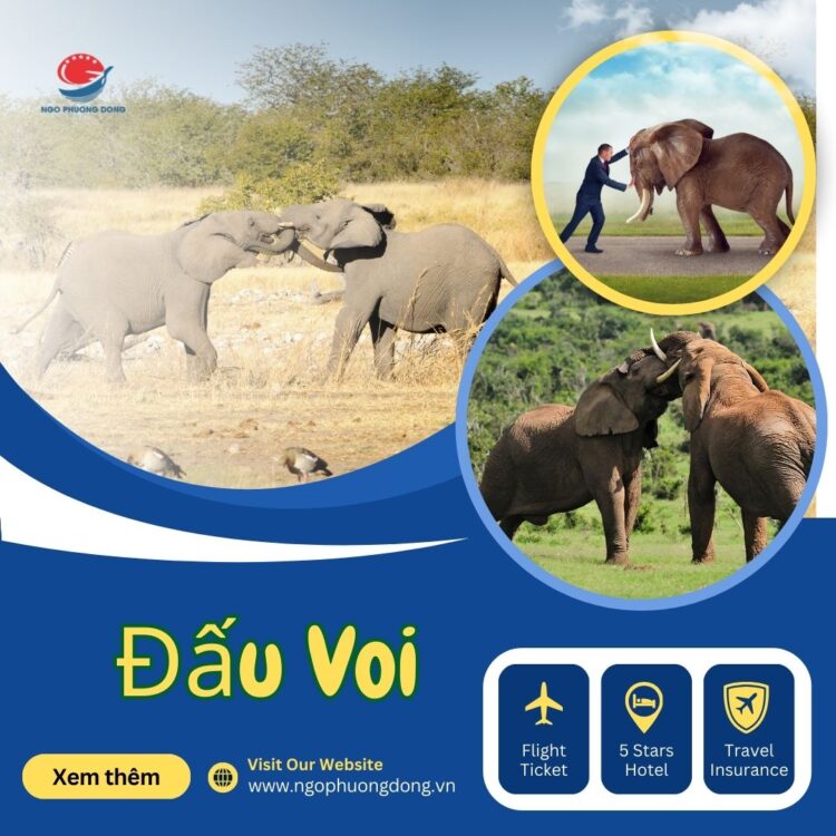 Tour Du Lịch Campuchia