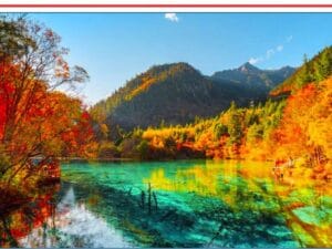 KHÁM PHÁ THÀNH ĐÔ – CỬU TRẠI CÂU – GẤU TRÚC – LẠC SƠN