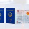 Hộ chiếu online nhanh