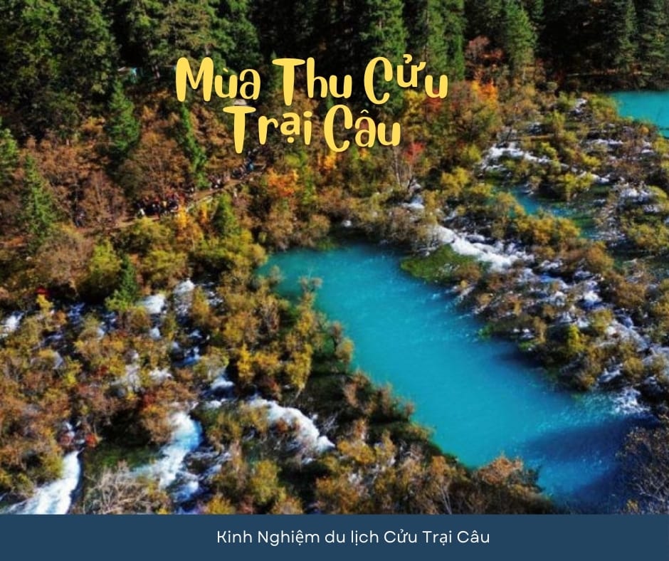 Tour Thành Đô Cửu Trại Câu Gấu Trúc