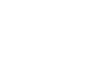 Logo Ngo Phuong Dong Travel