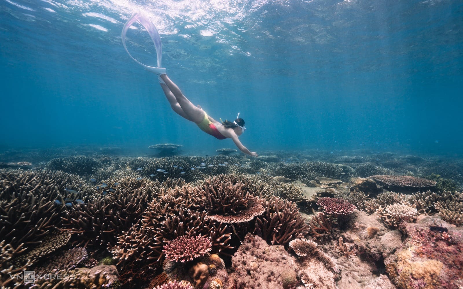 Kinh Nghiệm Du Lịch Côn Đảo Tự Túc