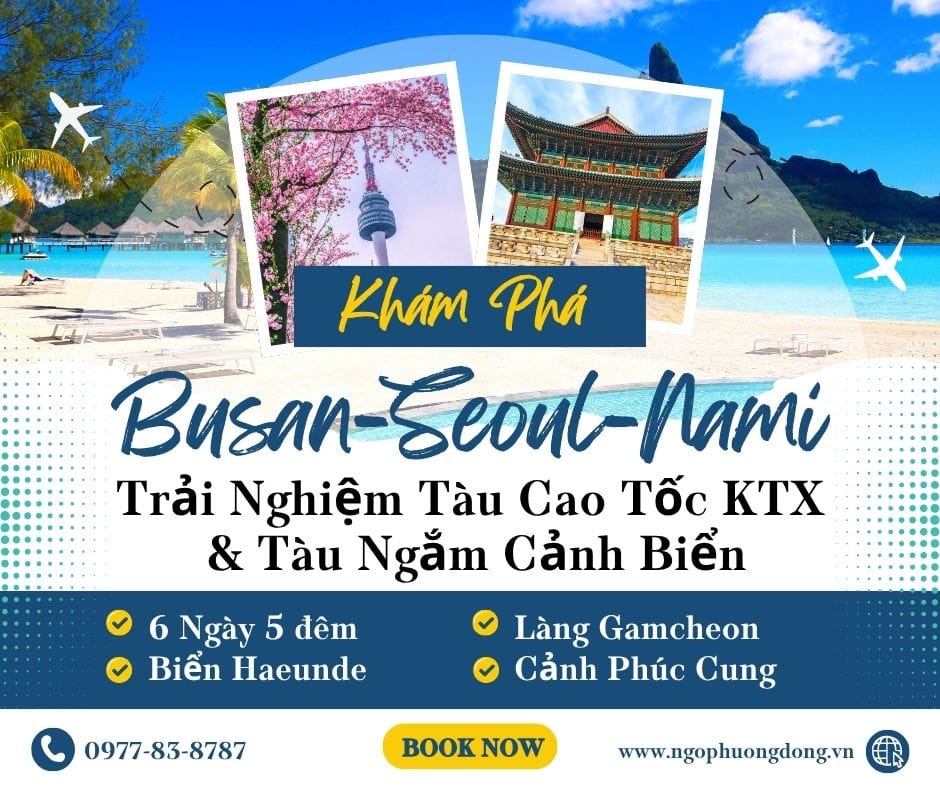 Từ Busan Đến Seoul Và Đảo Nami