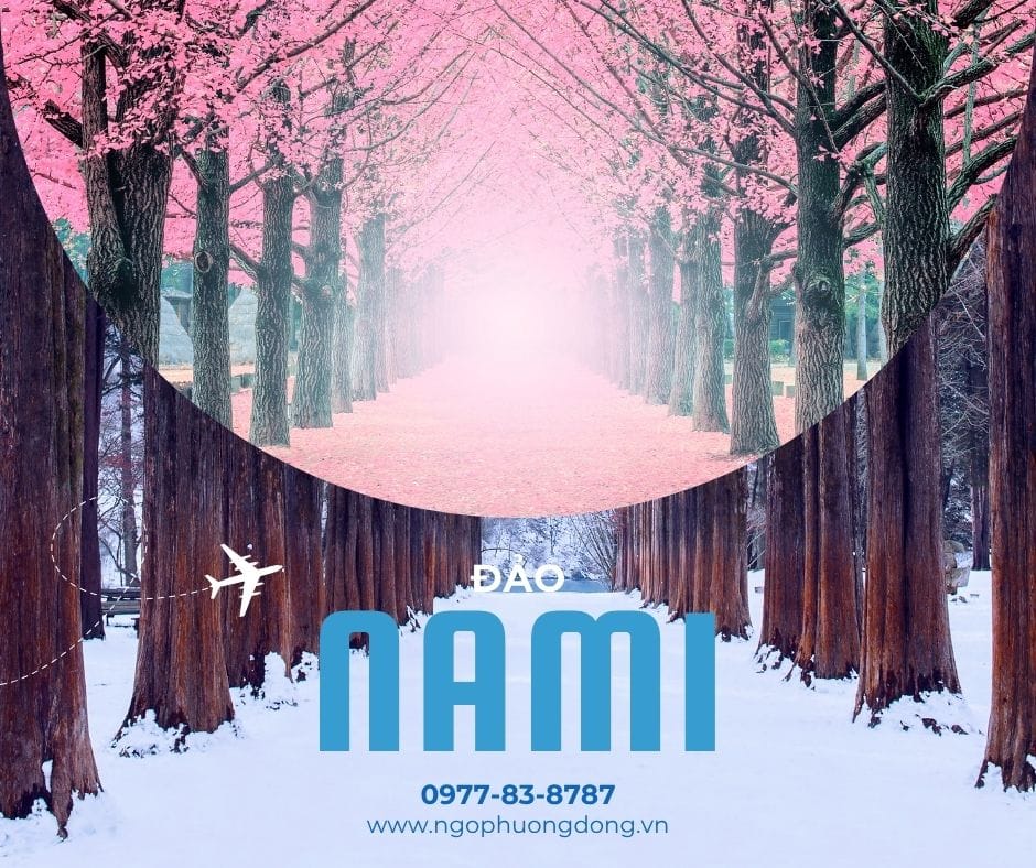 Seoul - Nami – Everland - Namsan