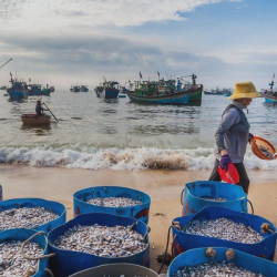 Đà Nẵng – Chùa Linh Ứng – Ngũ Hành Sơn – Hội An – Huế - Bà Nà