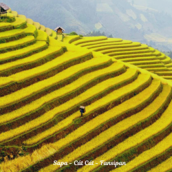 Hà Nội - Bái Đính – Tràng An Hạ Long - Yên Tử