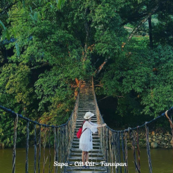 Hà Nội – Sapa – Fansipan – Hà Nội