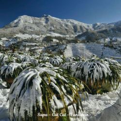 Hà Nội – Sapa – Fansipan – Hà Nội