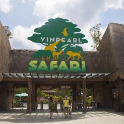 Phú Quốc Tour Chinh Phục VinWonders - Safari